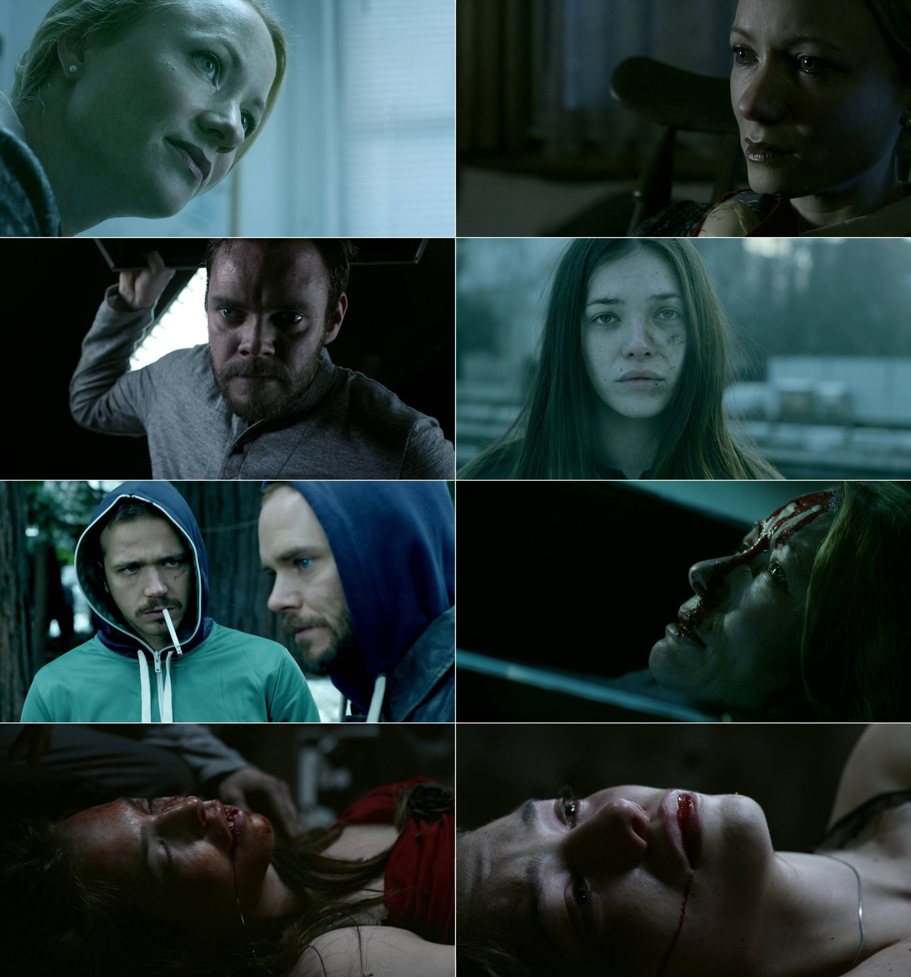 I Spit on Your Grave 2 (2013) (Hindi + English) Dual Audio Hollywood Movie BluRay HD ESub Screenshot